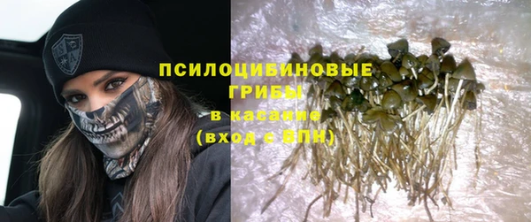 мескалин Арсеньев