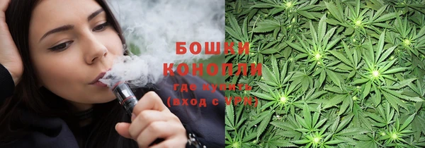 крисы Аркадак