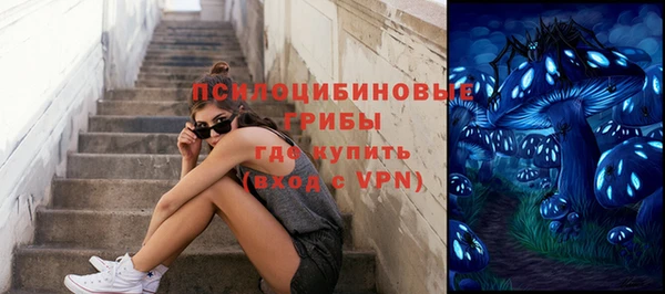 мескалин Арсеньев