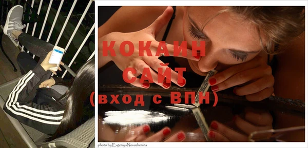 хмурый Верея
