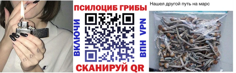 Купить  Бикин  Галлюциногенные грибы ЛСД 